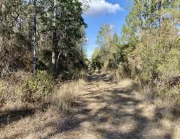 Madison County, FL 32340,Vacant Hike Lake Road