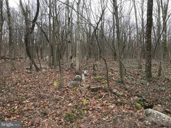 LOT#A216 BLACK WALNUT LN, Jim Thorpe, PA 18229