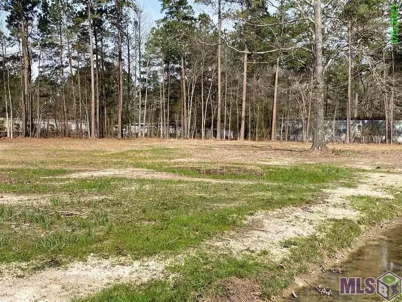 27647 WISCONSIN LN, Holden, LA 70744