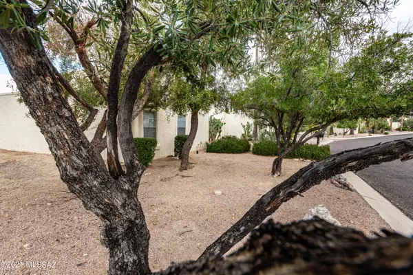 Tucson, AZ 85704,6303 N Orange Tree Drive