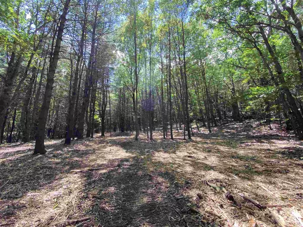 Salisbury, NH 03268,Lot 6-11 Raccoon Hill RD