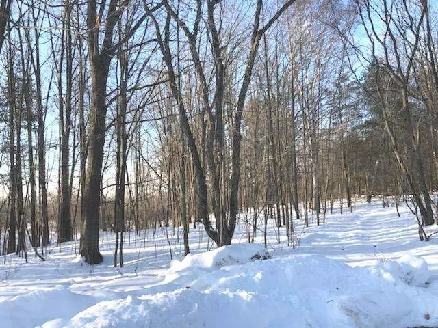 Lot 37 STONEY CREEK DRIVE, Farwell, MI 48622