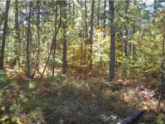 Tamworth, NH 03886,111 Silver Pine Lane Lot 31