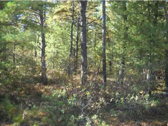 Tamworth, NH 03886,111 Silver Pine Lane Lot 31