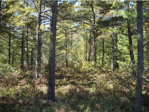 Tamworth, NH 03886,111 Silver Pine Lane Lot 31