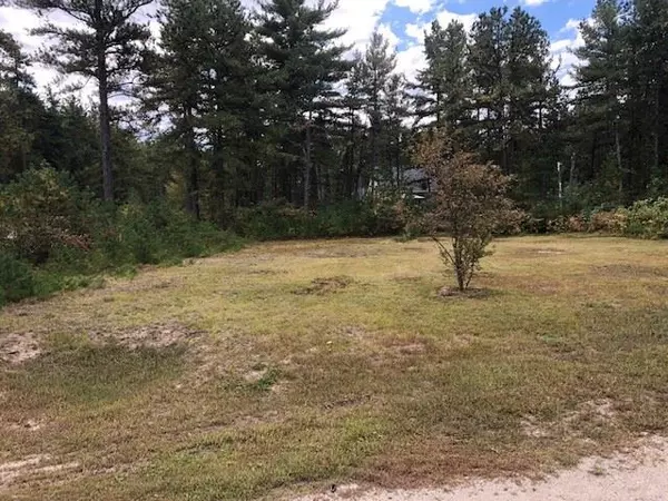 Tamworth, NH 03886,277 Silver Pine LN