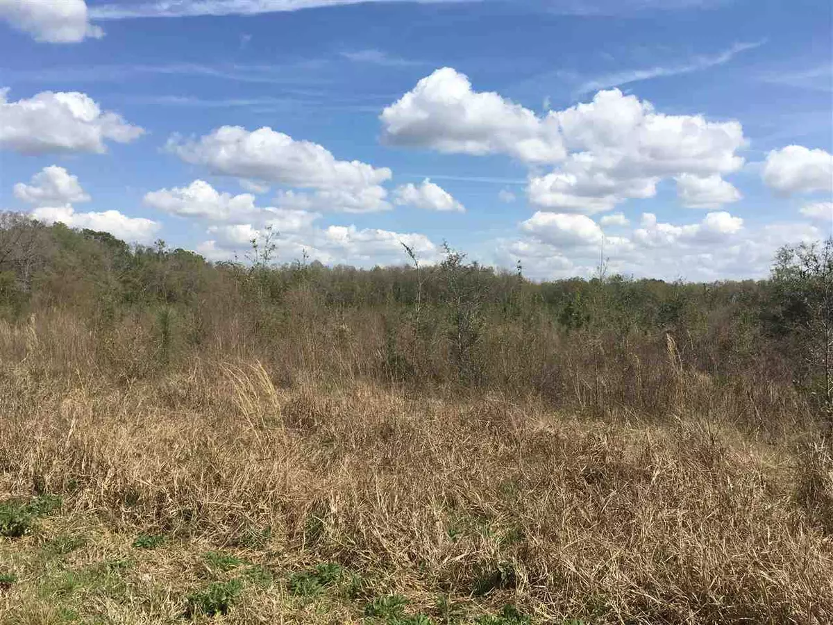 Madison County, FL 32340,Vacant NE Delphiinium Drive