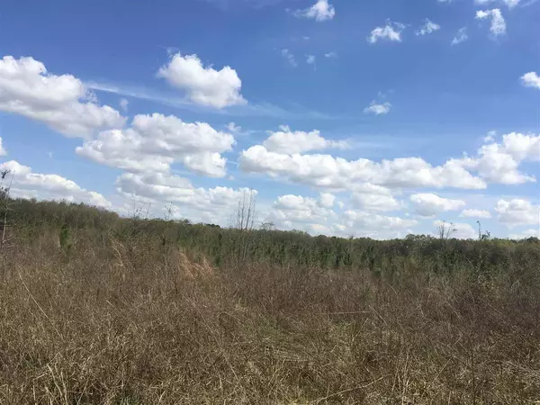 Madison County, FL 32340,Vacant NE Delphiinium Drive