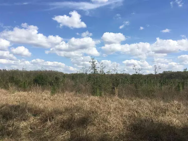 Madison County, FL 32340,Vacant NE Delphiinium Drive