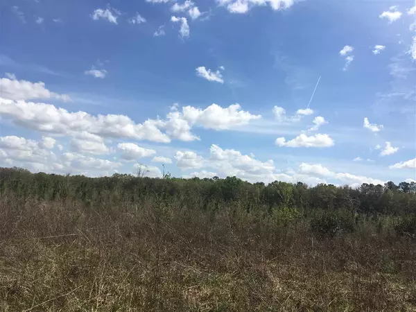 Madison County, FL 32340,Vacant NE Delphiinium Drive