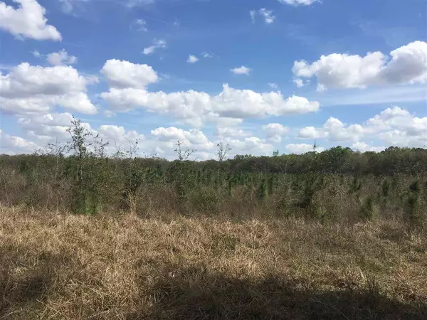 Madison County, FL 32340,Vacant NE Delphiinium Drive