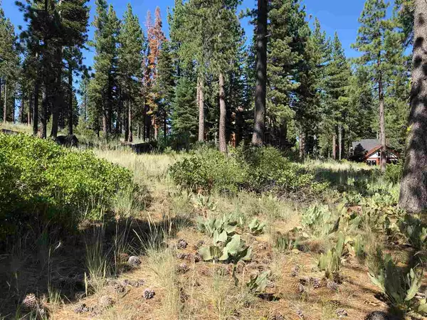 Truckee, CA 96161,11976 Cavern Way