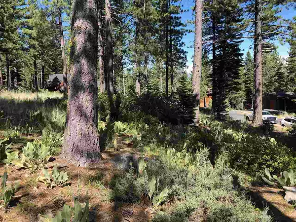 Truckee, CA 96161,11976 Cavern Way