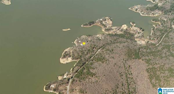 448 CEDAR COVE DRIVE, Alpine, AL 35014
