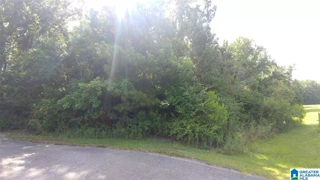 BUCKHAVEN DRIVE #One acre lot, Southside, AL 35907