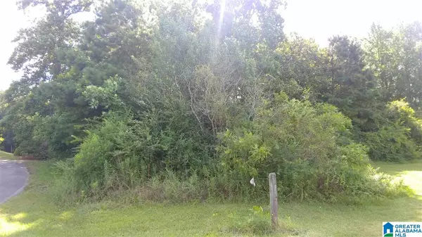 Southside, AL 35907,BUCKHAVEN DRIVE #One acre lot