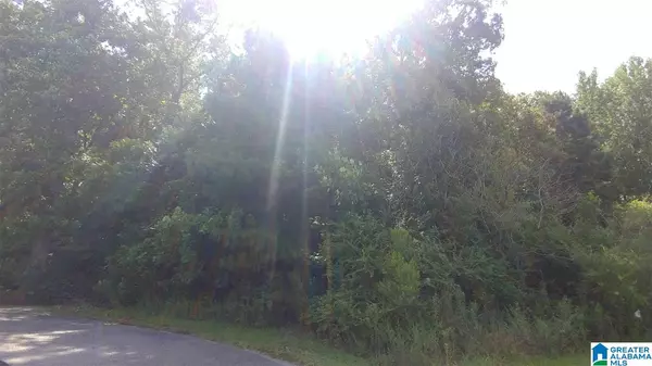 Southside, AL 35907,BUCKHAVEN DRIVE #One acre lot