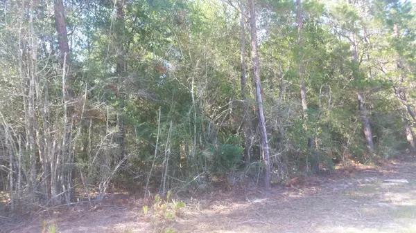 Defuniak Springs, FL 32433,Lot 25 Hwy 90 West