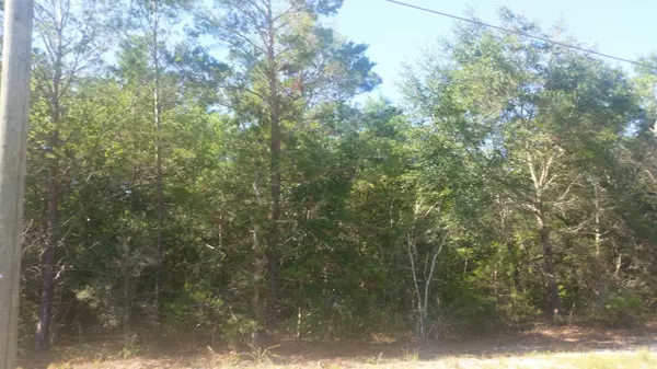 Defuniak Springs, FL 32433,Lot 26 US-90