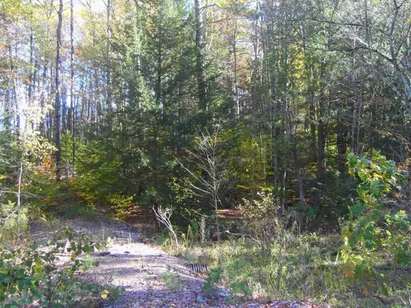 Castleton, VT 05735,Lot 4 N Woodard WAY