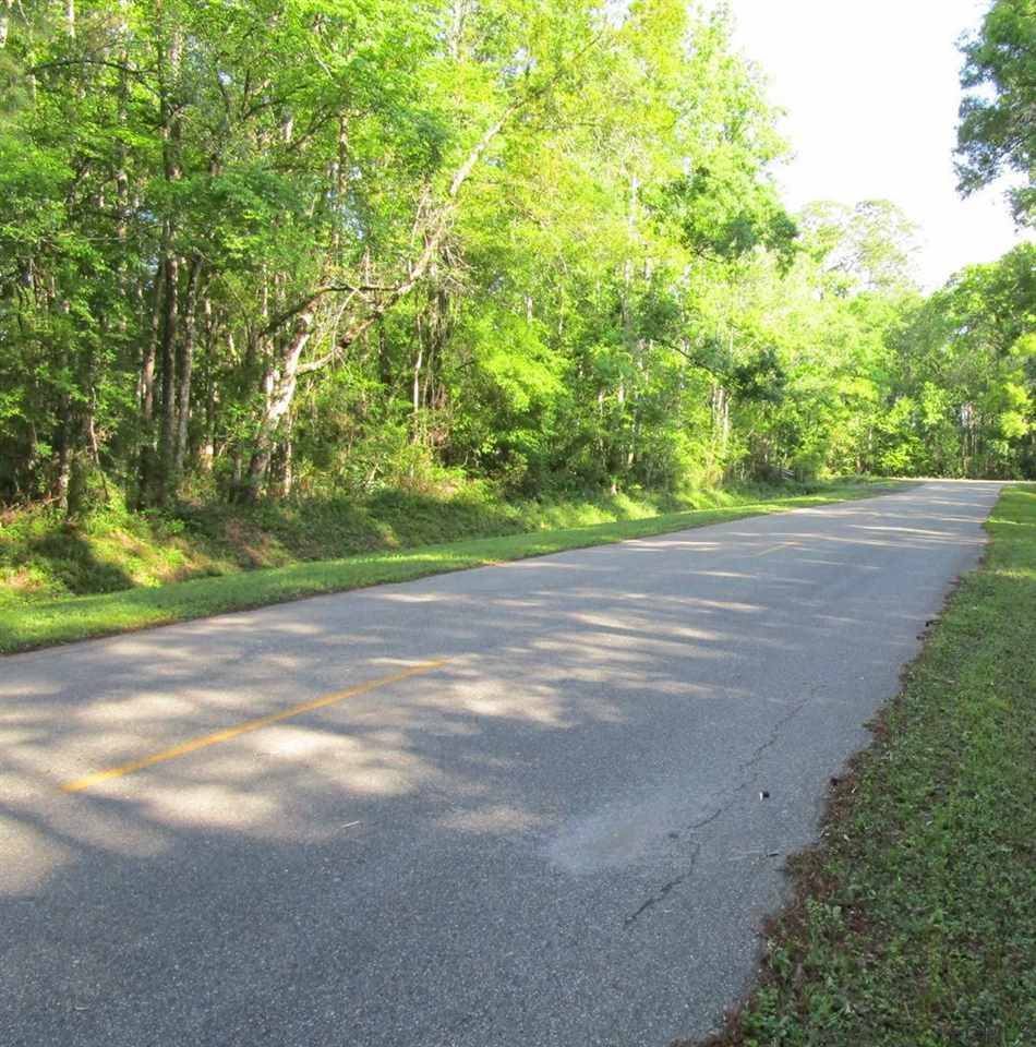 9635 E Deep Creek Blvd, Hastings, FL 32145