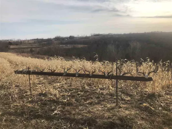 Viroqua, WI 54665,39 Ac Dahl Rd