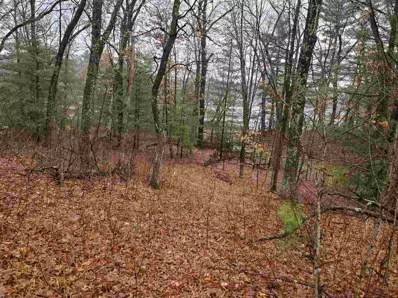 Lot 253 Dakota Junction, Friendship, WI 53934