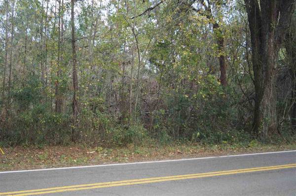 xxx Old Woodville Road #-, Woodville, FL 32305