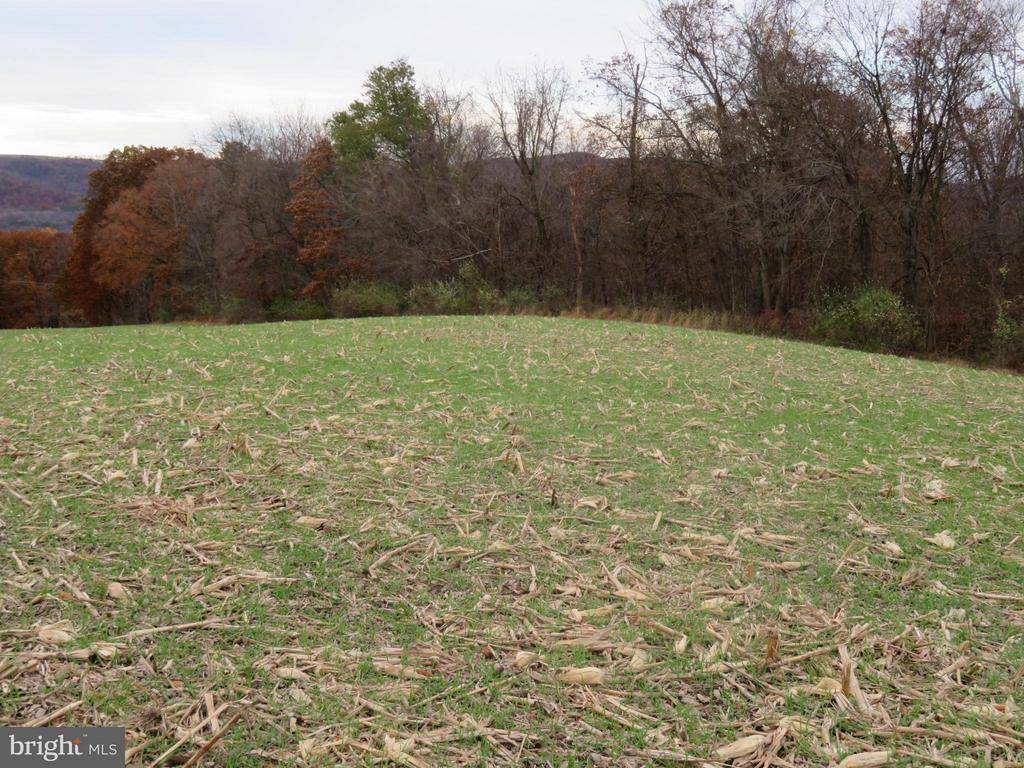 Sunbury, PA 17801,0 FURMAN RD