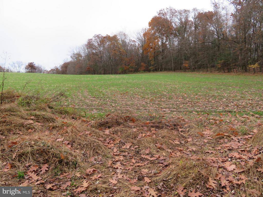 Sunbury, PA 17801,0 FURMAN RD