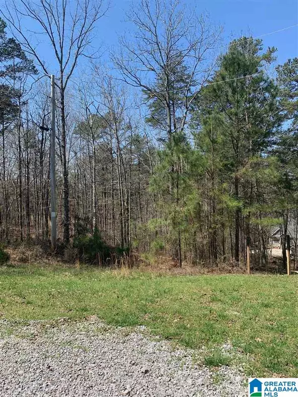 Arley, AL 35540,lot 40 SUNSET LANE #40