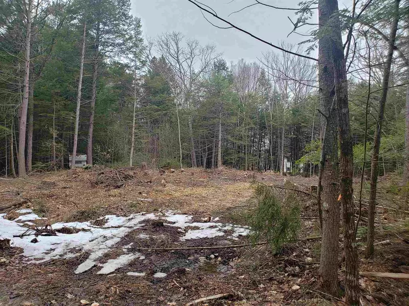 Lot 328 Bristol RD, Barnstead, NH 03225