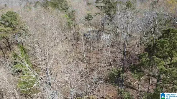 Helena, AL 35022,8454 SHORESIDE LANE #Lot