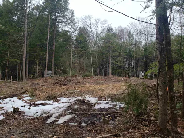 Barnstead, NH 03225,Lot 328 Bristol RD