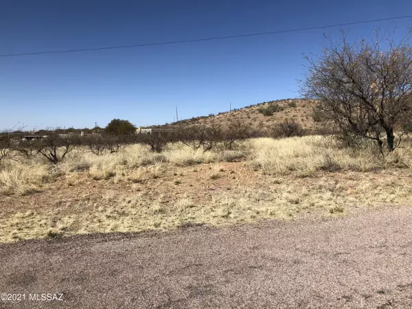 Rio Rico, AZ 85648,206 Circulo Silva  #24