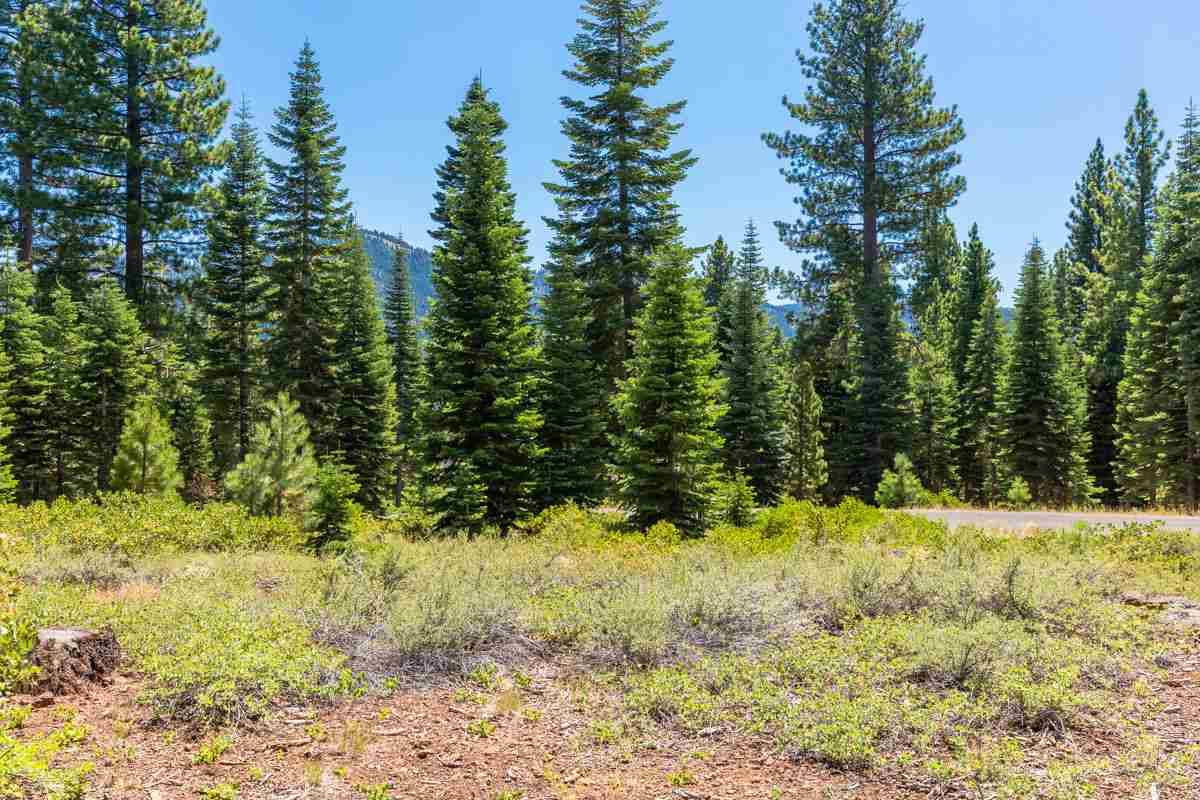 10912 Olana Drive, Truckee, CA 96161