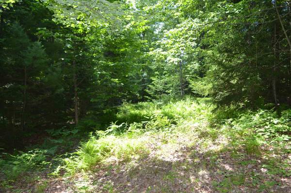 Lot 2 North ST, East Montpelier, VT 05651