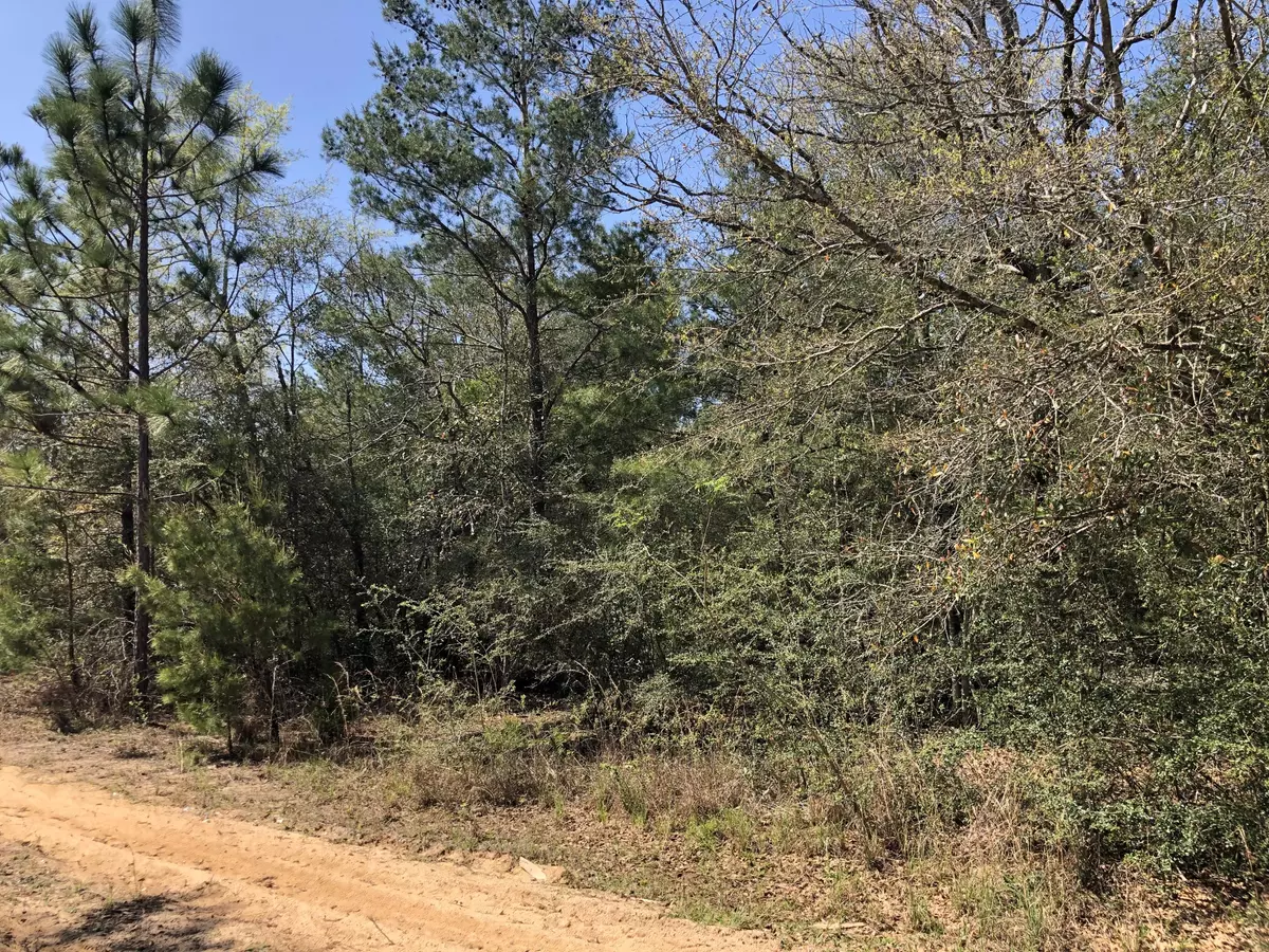 Defuniak Springs, FL 32433,Lot 16 Wagner Dr.