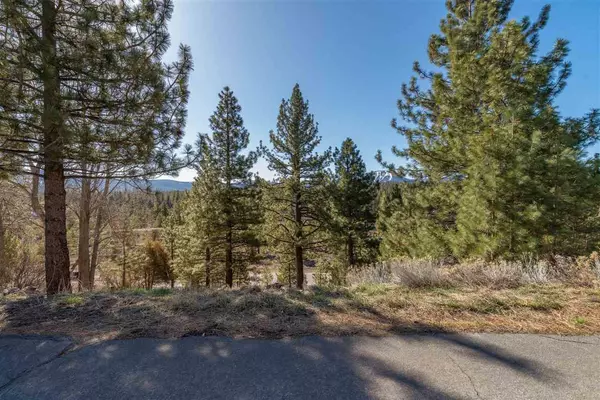 Truckee, CA 96161,11809 River View Court