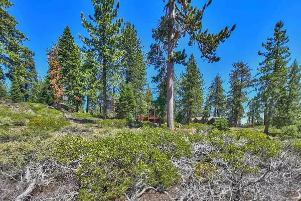 Tahoe Vista, CA 96148,226 & 232 Pino Grande Avenue