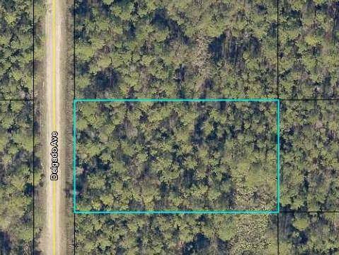 10620 Delgado AVE,  Hastings,  FL 32145