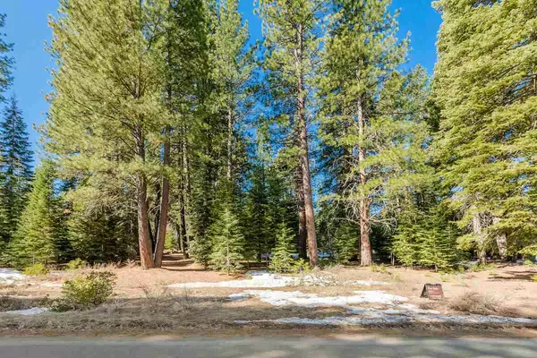 Truckee, CA 96161,11035 Palisades Drive