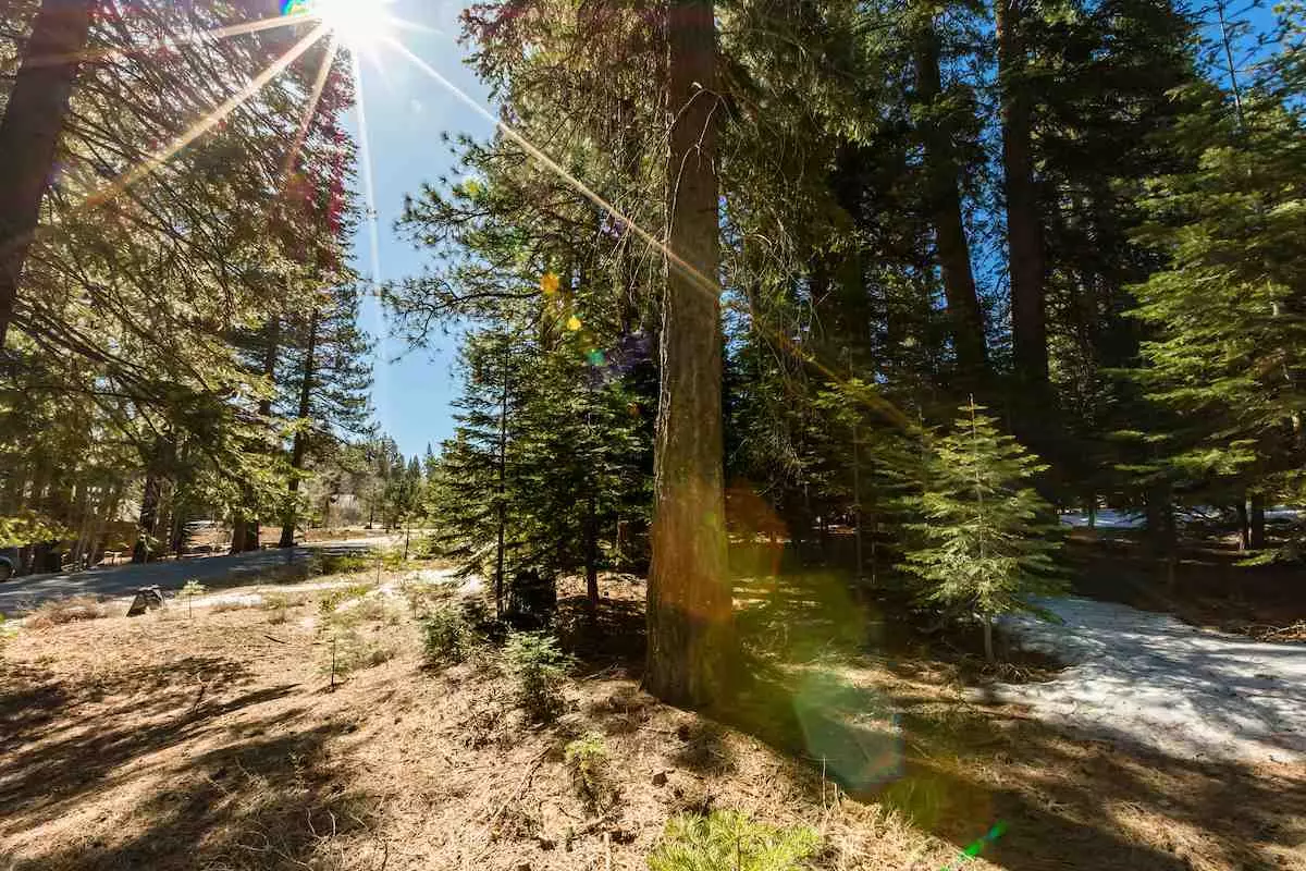 Truckee, CA 96161,11035 Palisades Drive