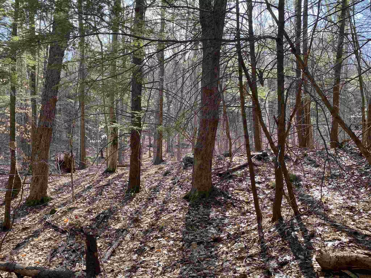 Sanbornton, NH 03269,000 Mountain RD #Lot 26-A-2