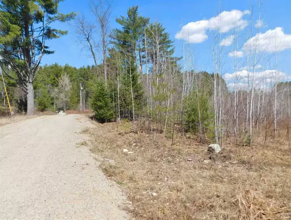 Stark, NH 03582,0 Plain RD #Lot 34.1 & Lot34.2