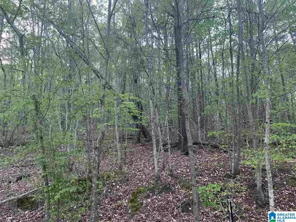 Trussville, AL 35173,0 JOHN OWENS ROAD #1 acre