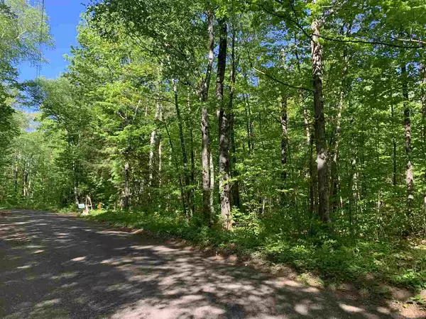 Lac Du Flambeau, WI 54538,12607 Elsie Lake Ln