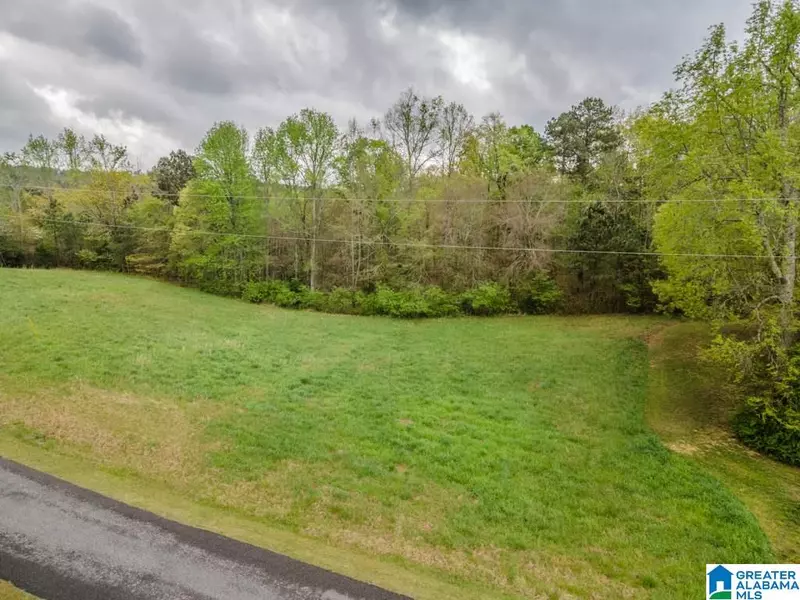 LOT 7 ALLISON DRIVE #7, Oneonta, AL 35121