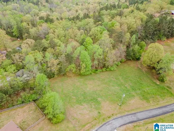 Oneonta, AL 35121,LOT 7 ALLISON DRIVE #7