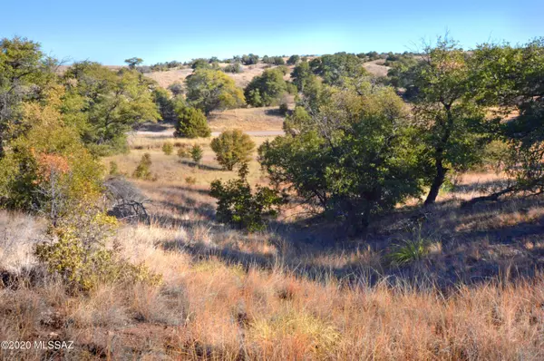 Sonoita, AZ 85637,Lot 4 Franklin Lane #.